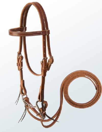 Bridle