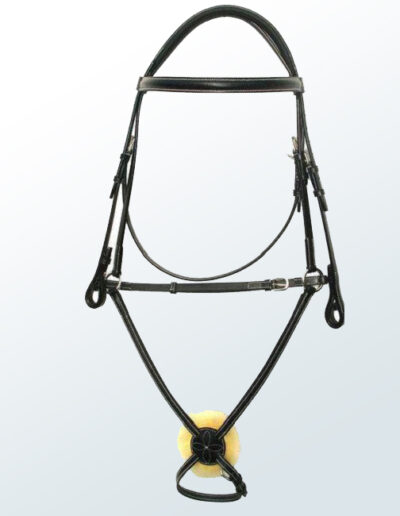 Bridle