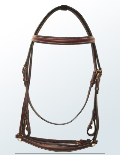Bridle