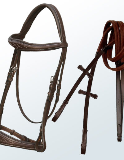 Bridle
