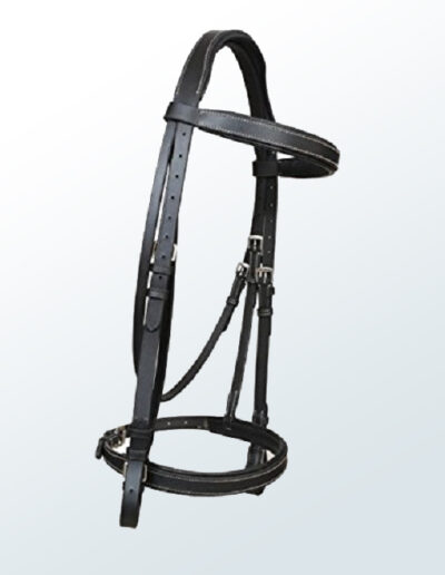 Bridle