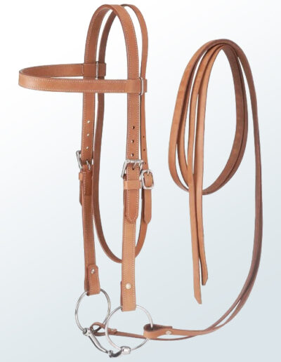 Bridle