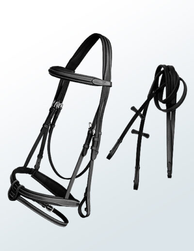 Bridle