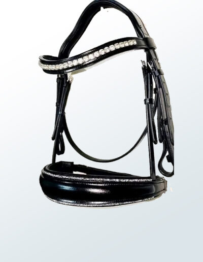 Bridle