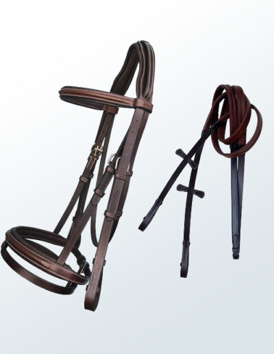 Bridle