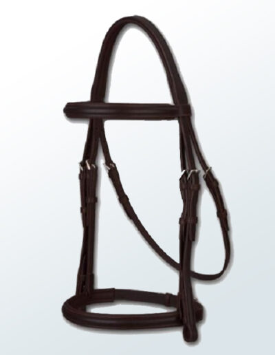 Bridle