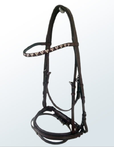 Bridle