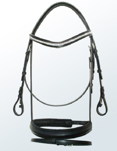 Bridle