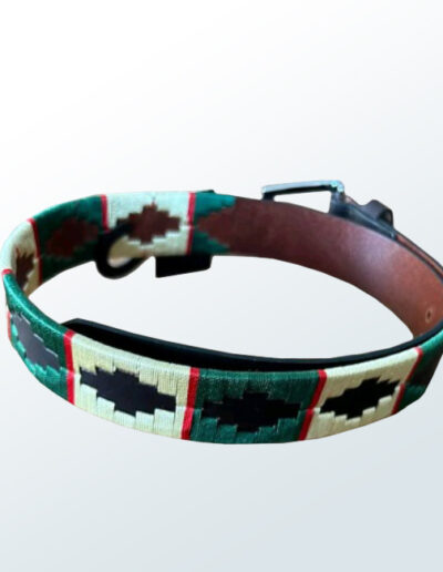 Polo Belt-2