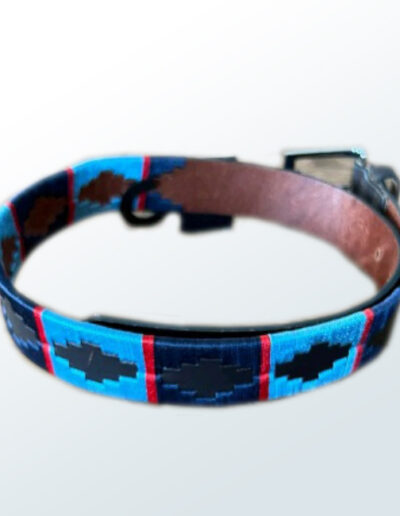 Polo Belt-1