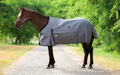 Understanding Rug Technology | Horse Rugs