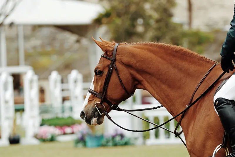 A Symphony of Craftsmanship: The Inara Arts Horse Bridle