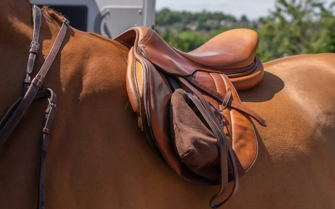 Insights into Saddle Fitting: : Effects of a Horse’s Saddle Being Too Wide