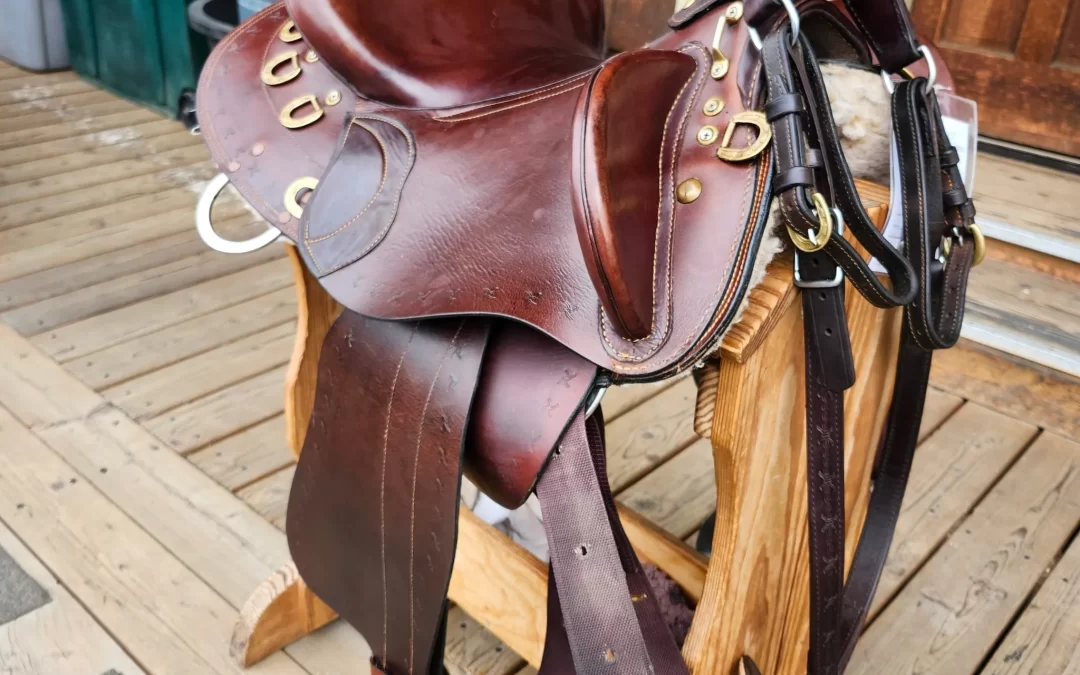 What is the Importance of Australian Saddle for Horse Riding?