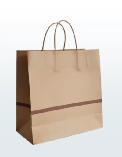 Paper Bag